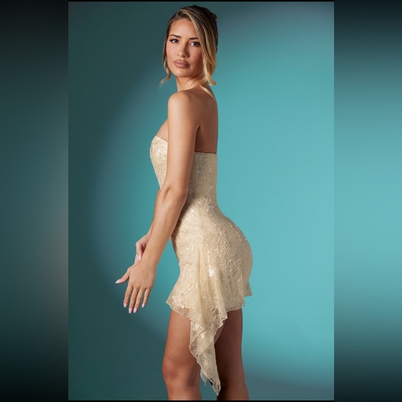 Embellished Lace Bandeau Mini
Dress in Ivory - Picture 4 of 6